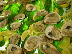 conference_oysters.jpg