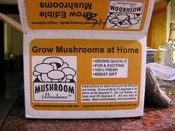mushrooms_1_box.jpg